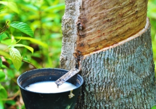 Nouveauté printemps 2026 : votre matelas 100% LATEX BIO bientôt en ligne !